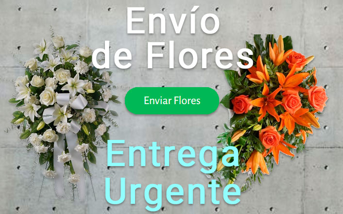Envio de flores urgente a Funeraria Gijón